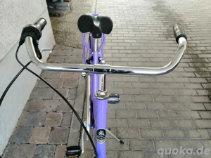 Damenrad 28iger Bild 1