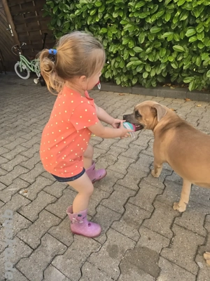 Ich suche ein Für immer zuhause !  Bild 8