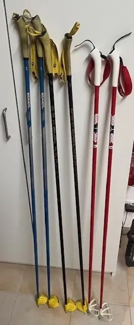 Langlaufstöcke, 135 cm, 140 cm und 145 cm