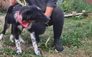 Familie für Fenna gesucht			