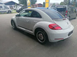 Volkswagen Beetle Cup BMT Bild 5
