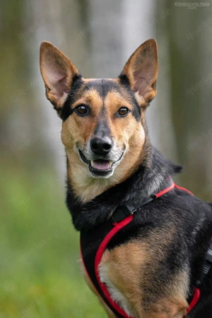 Süße Ria sucht ihre Familie