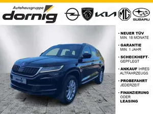 Skoda Kodiaq TDI 4x4 DSG, Kamera, Standhzg.