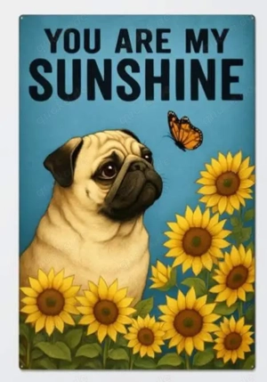 Suche Kleinkredit von Privatperson