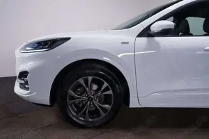 Ford Kuga 2.0 EcoBlue ST Line 4x4 Aut.*Winter 2 Paket Bild 3