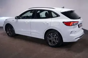 Ford Kuga 2.0 EcoBlue ST Line 4x4 Aut.*Winter 2 Paket Bild 5
