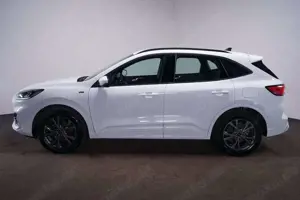 Ford Kuga 2.0 EcoBlue ST Line 4x4 Aut.*Winter 2 Paket Bild 4