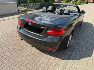 BMW 220 220i Cabrio Advantage Bild 3