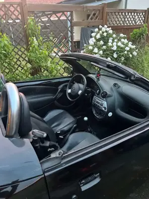 Ford Streetka 1.6 8V