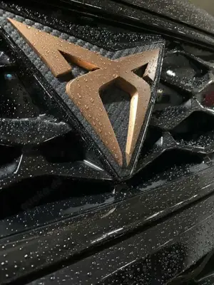 CUPRA Ateca 2.0 TSI/360’Kam/DSG/Pano/300Ps/elek.Heckklappe