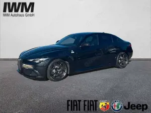Alfa Romeo Giulia Quadrifoglio Sparco, Assistenz NP: 93.640