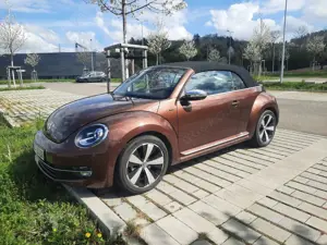 Volkswagen Beetle The Cabriolet 1.2TSI BlueMotion Technology Allstar Bild 2