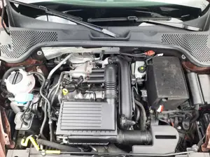 Volkswagen Beetle The Cabriolet 1.2TSI BlueMotion Technology Allstar Bild 3