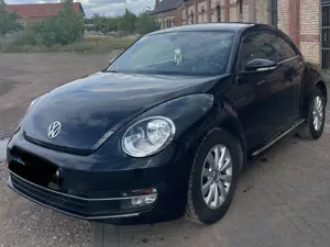 Volkswagen Beetle Design