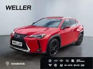 Lexus UX 250h Style Edition *Bi-LED*ACC*CAM*SHZ*CarPlay*