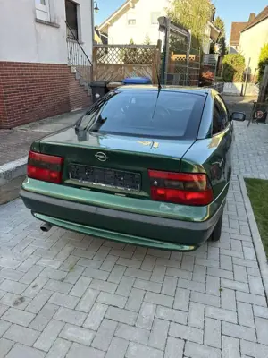 Opel Calibra Young