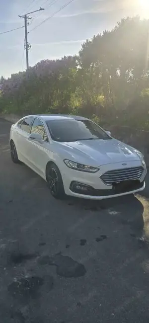 Ford Mondeo Mondeo 2.0 EcoBlue Aut. Business Edition