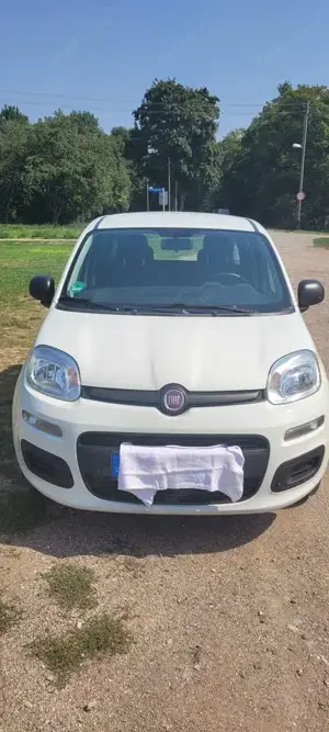 Fiat Panda Panda/Pandina 1.2 Easy Bild 4