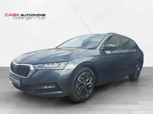 Skoda Octavia Combi Clever 2.0 TDI DSG Navi Ergo Sitze