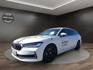 Skoda Superb Combi 2.0 TDI DSG Selection*Area View*