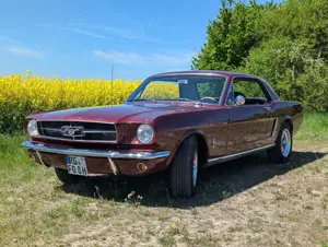 Ford Mustang 1964.2 260cui Coupé manuell