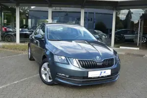 Skoda Octavia Lim. Aut. Style AHK Navi App PDC