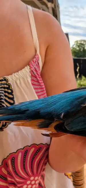 Mazda 3 Urban Limited Bild 3