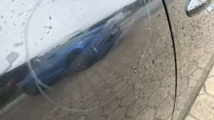 Kia Picanto 1.0 Dream Team Edition Bild 5