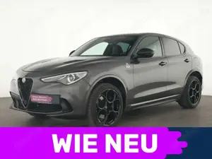 Alfa Romeo Stelvio Quadrifoglio Brembo|Pano|21'' PROTOTIPO