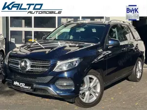 Mercedes-Benz GLE 250 d BlueTEC 4-Matic 9G Leder Navi LED 19"