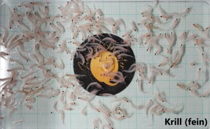 Frostfutter Fischfutter Futter Aquarium Zierfische Artemia Bild 6