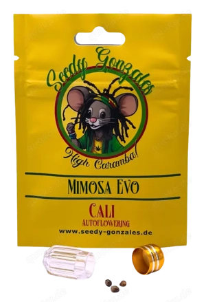 Mimosa Evo Autoflower 3 Hanfsamen ( Cannabissamen )