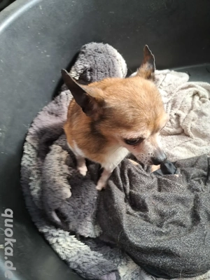 Suche neues zu Hause 