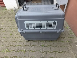 Hundetransportbox groß