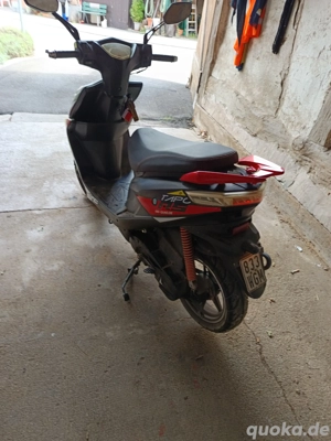 Motorroller BeelineTapo50 Bild 3