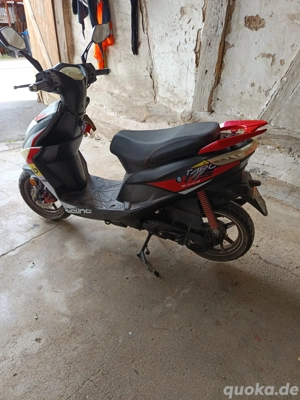 Motorroller BeelineTapo50 Bild 4