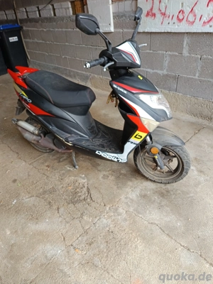 Motorroller BeelineTapo50 Bild 2