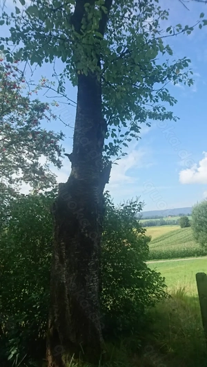 Traumhaftes Grundstueck in absoluter Alleinlage