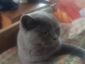 BKH Karteuser Maedchen