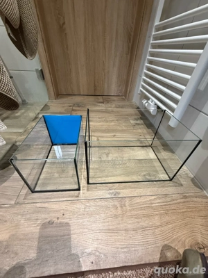 2 kleine Aufzuchtaquarien , tausch geg. Skalare, Garnelen OE, Welse.....