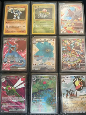 Pokemon Karten Sammlung
