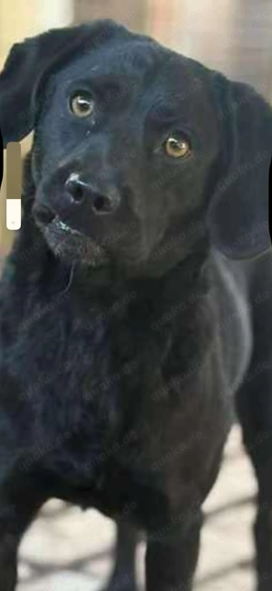 Süße Motte sucht Familie