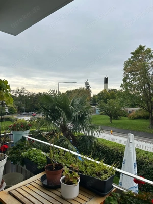 Eigentumswohnung in Wiesbaden, Sonnenberg von privat zu verkaufen