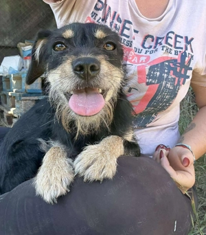 Ella möchte den Winter nicht im Tierheim verbringen