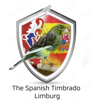 Timbrado Classico 2025