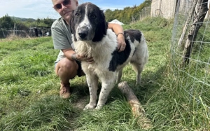 Punktnase Mukki sucht seine Familie. Adopt, don t shop.