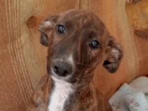 KIKA sucht ihre Herzensmenschen Bild 2