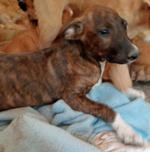 KIKA sucht ihre Herzensmenschen Bild 3