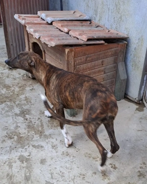 KIKA sucht ihre Herzensmenschen Bild 4