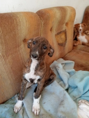 KIKA sucht ihre Herzensmenschen